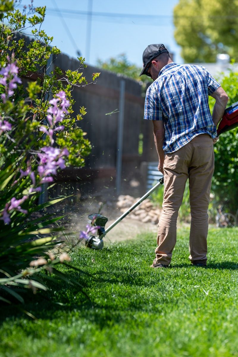 Landscaper strimming the edge of a lawn